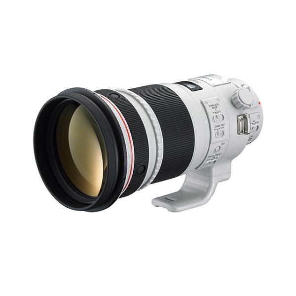Canon EF 300 mm. f/2.8 L USM II