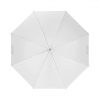 Profoto Umbrella S Shallow Translucent - Image 3